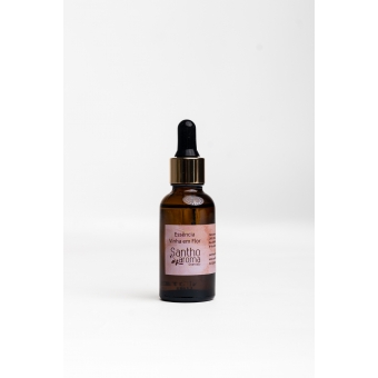 Essência Vinha em Flor 30ml