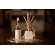 Difusor de Aromas com Varetas Singular 350ml