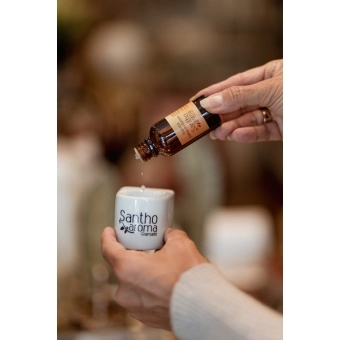 Essência Divina Vanilla 30ml
