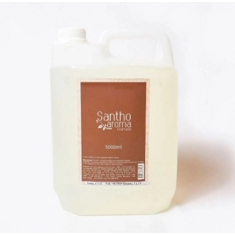 Refil Perfume de Ambiente Home Spray Patchouly 5L