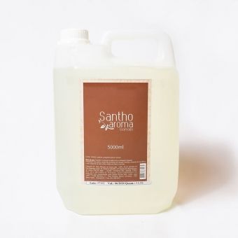 Refil Home Spray Lilás - 5 litros