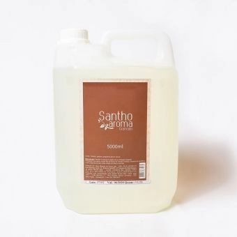 Refil Perfume de Ambiente Home Spray Lilás 5L