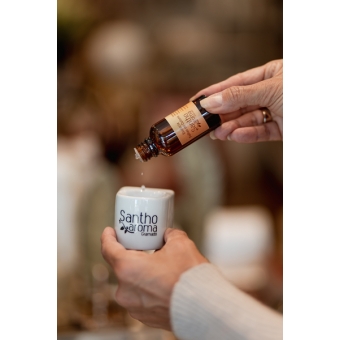 Essência Garbo 30ml