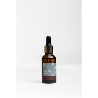 Essência Hortênsia 30ml