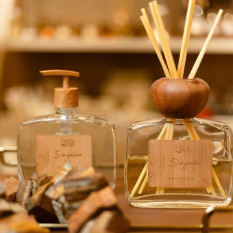 Difusor de Aromas com Varetas Singular
